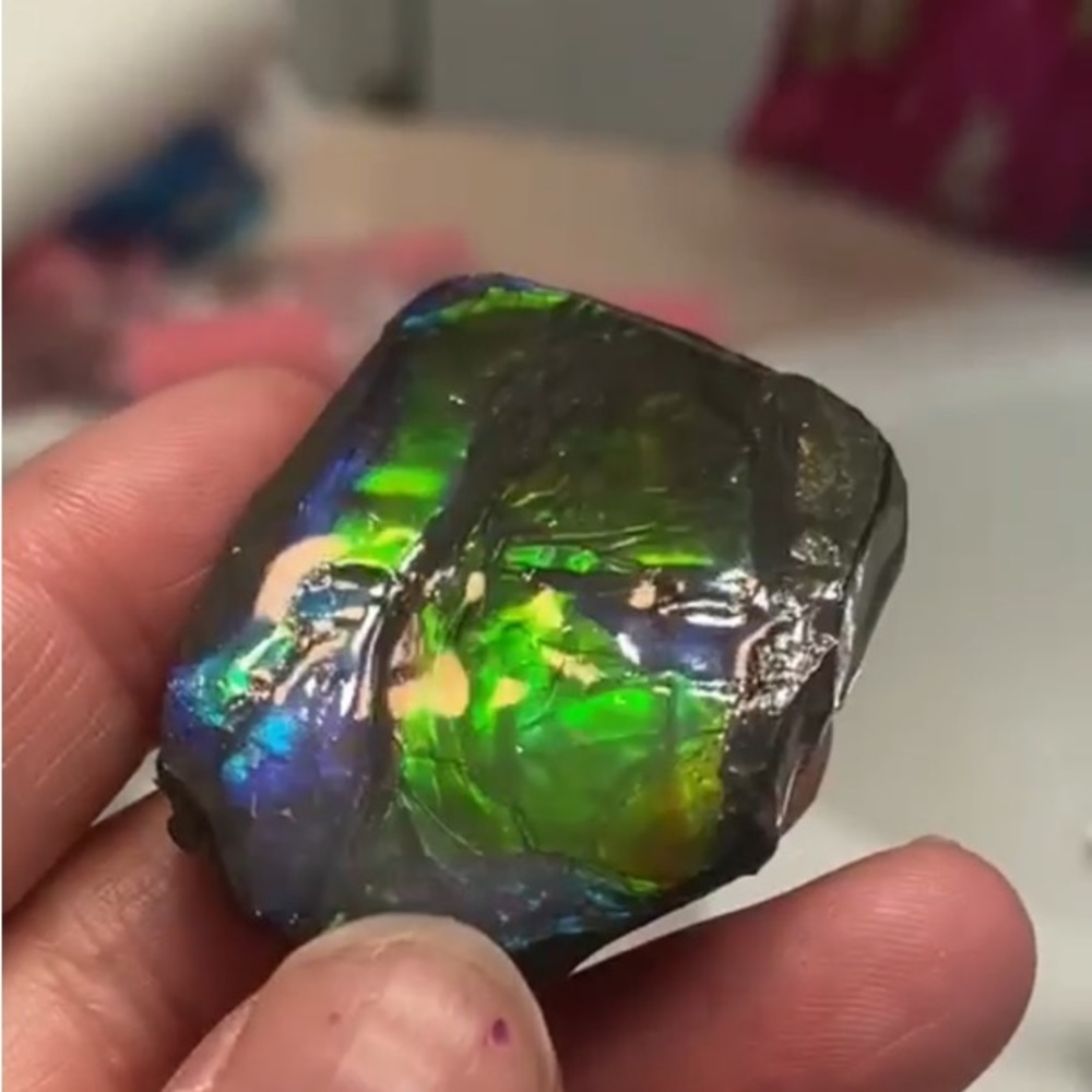 Blue and green ammolite pendant
